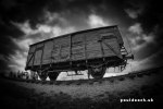 Cattle Truck at Birkenau used to transport Jews to the death camp